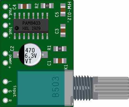 PAM8403 Module with Volume Control